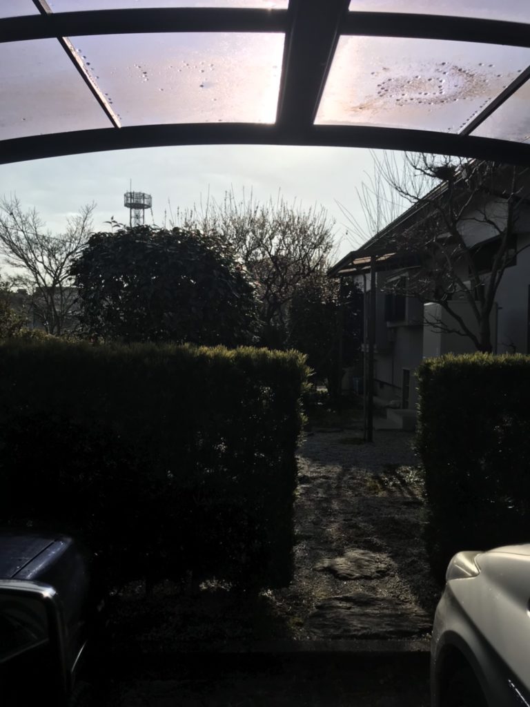 夏の残りのお手入れ〜✂️朝倉市 H様邸2/2